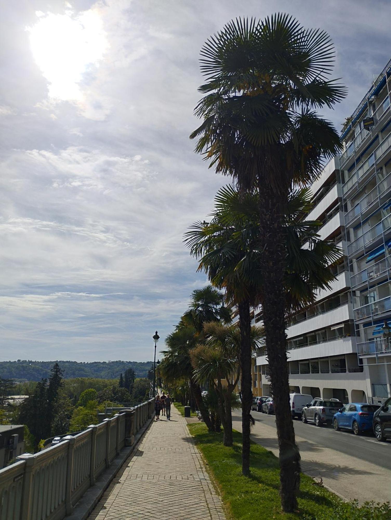 פאו Chambrette Boulevard Des Pyrenees Hypercentre 10M Carre Wc Sur Le Palier, Porte40 מראה חיצוני תמונה